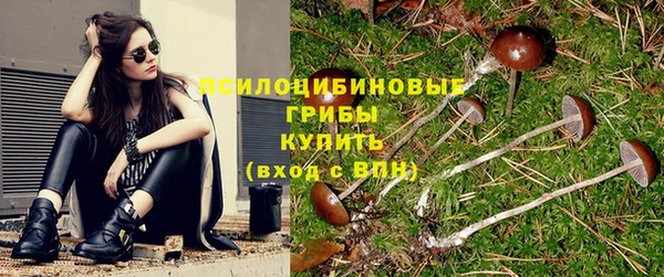 а пвп мука Арсеньев